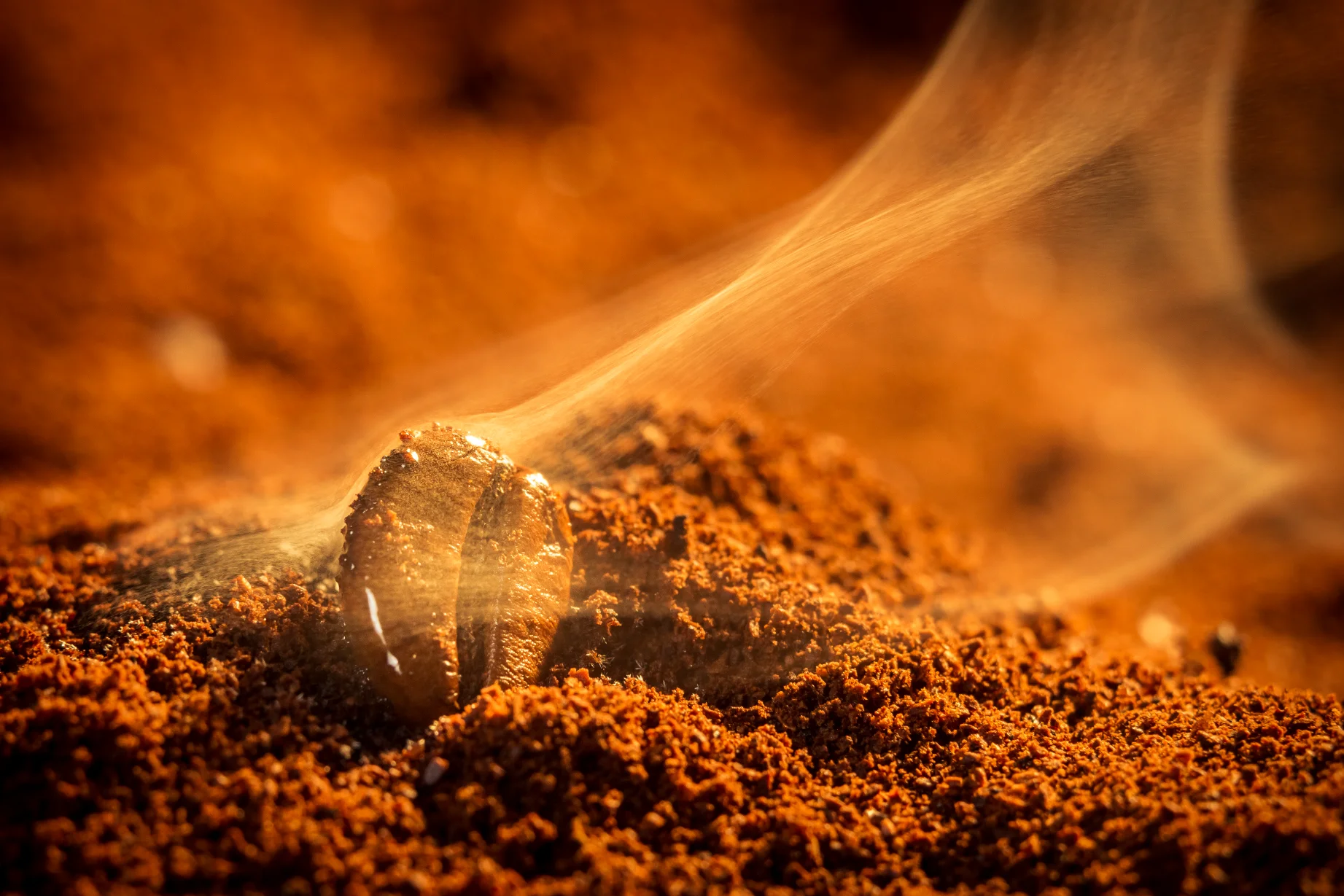 Burnt coffee grounds